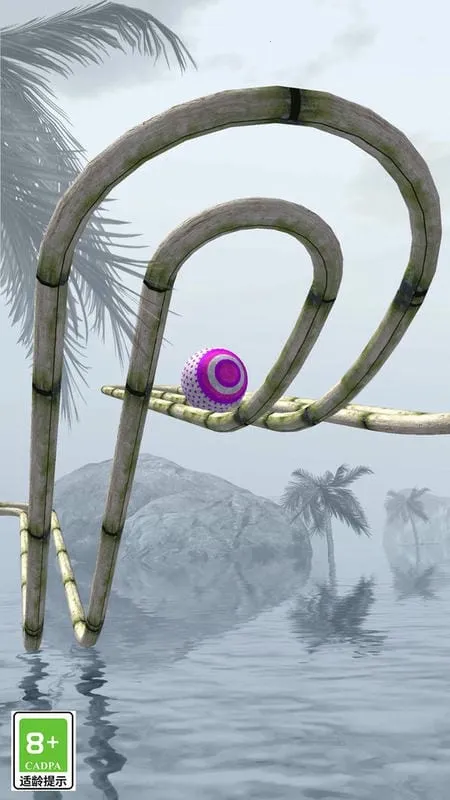 球球的冒险之旅2025下载 球球的冒险之旅2025下载