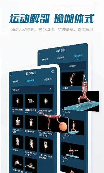 ���ʴ�ʦ(3D�������)v3.1.1 ��׿��