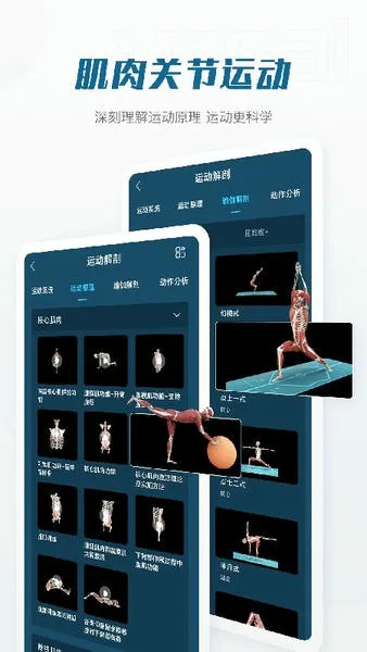 ���ʴ�ʦ(3D�������)v3.1.1 ��׿��