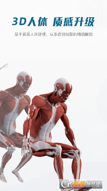 ���ʴ�ʦ(3D�������)