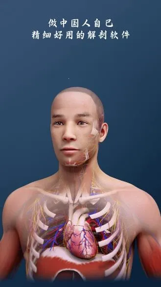 ���ʴ�ʦ(3D�������)