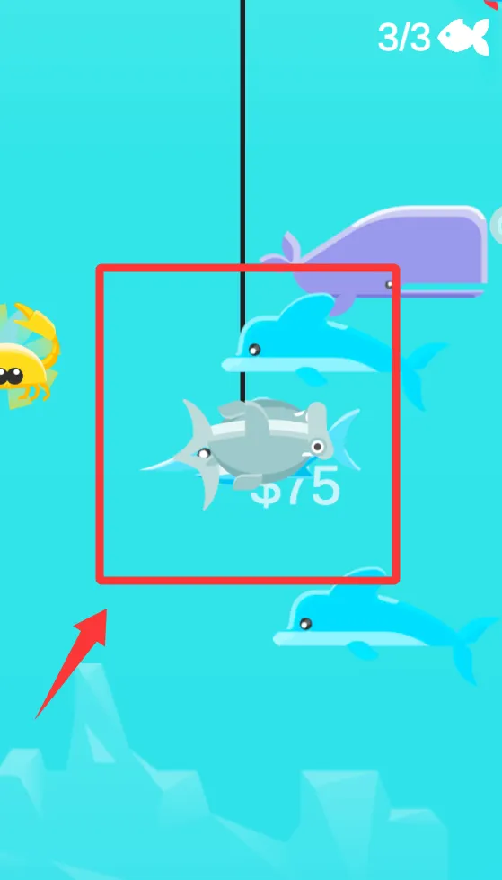 ȫ��Ȥζ����2025���ذ�װ