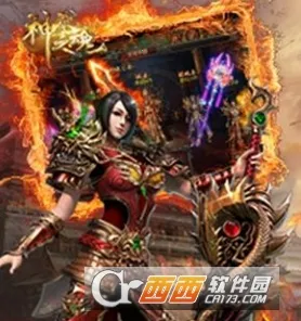 ����֮�������ֻ���