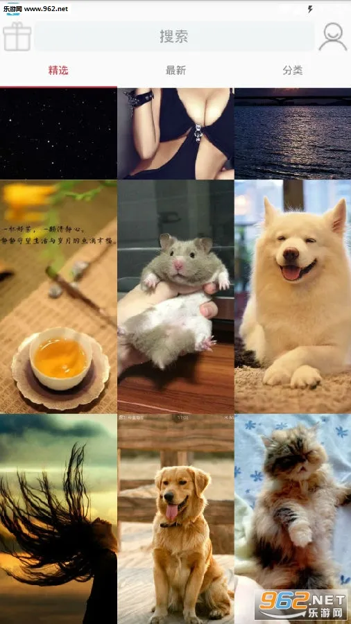 ���ѱ�ֽ(��̬��ֽ����)