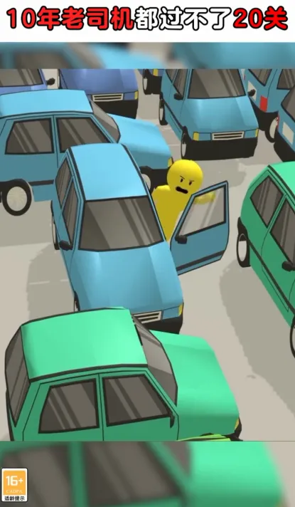 �����������2025���°汾