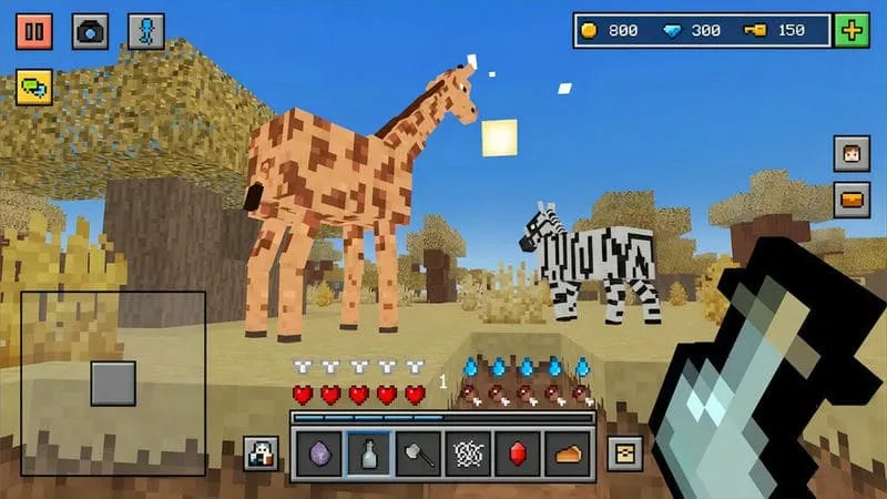 ����ɳ����������(����ɳ�н���)v1.0 ��׿��