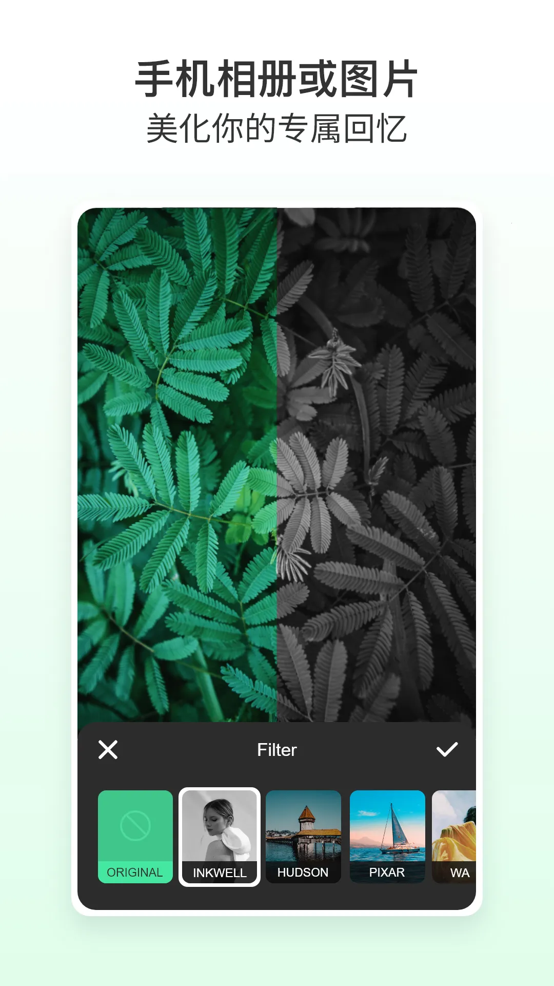 ��ͼ��ʦ2025���ذ�װv5.4.1 �ֻ���