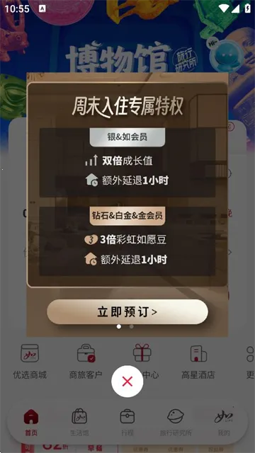 �������2025����