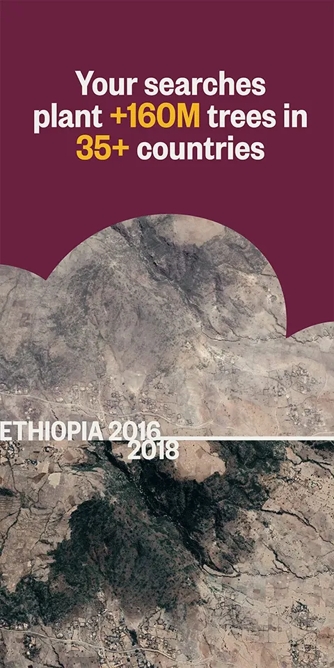 Ecosia2025���ذ�װv9.1.1 �ֻ���