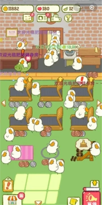 �ʶ콡����(�ʶ콡����)