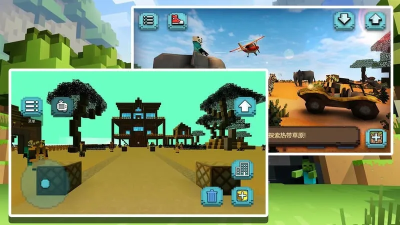 �����Թ�����2025����