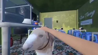 ���ֵܵĺӷ۲���(С����վ�Ӫ)v1.0.1 �ֻ���