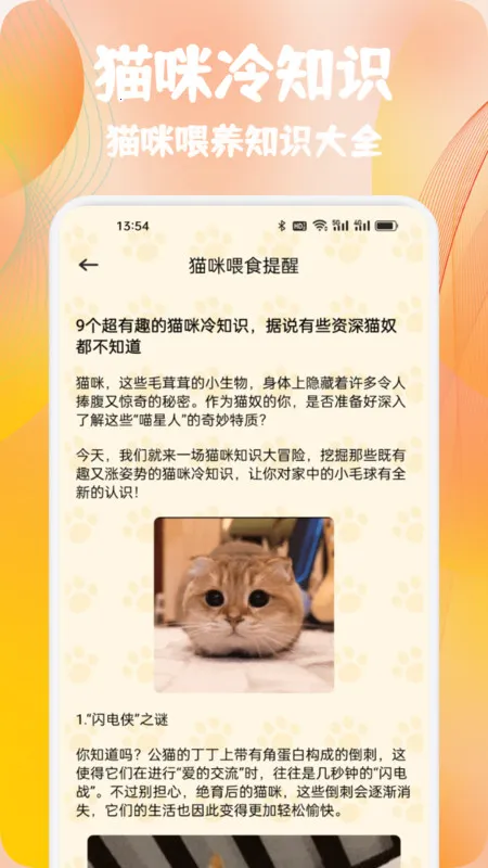 ժ��è����(�����﷭��)v1.1 ��׿��