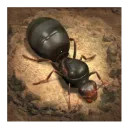 СС�Ϲ�2025�ٷ�����v1.59.0 �ֻ���