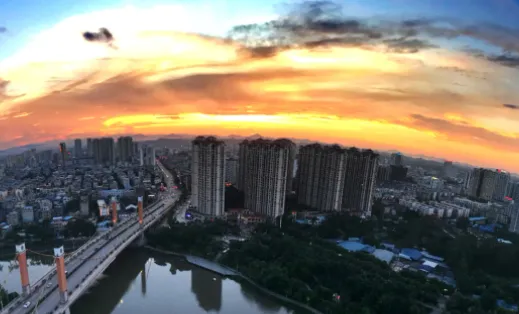 白话猫最新手机版 白话猫最新手机版