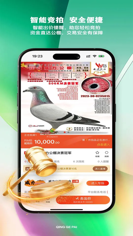 青鸽拍2025下载安装 青鸽拍2025下载安装