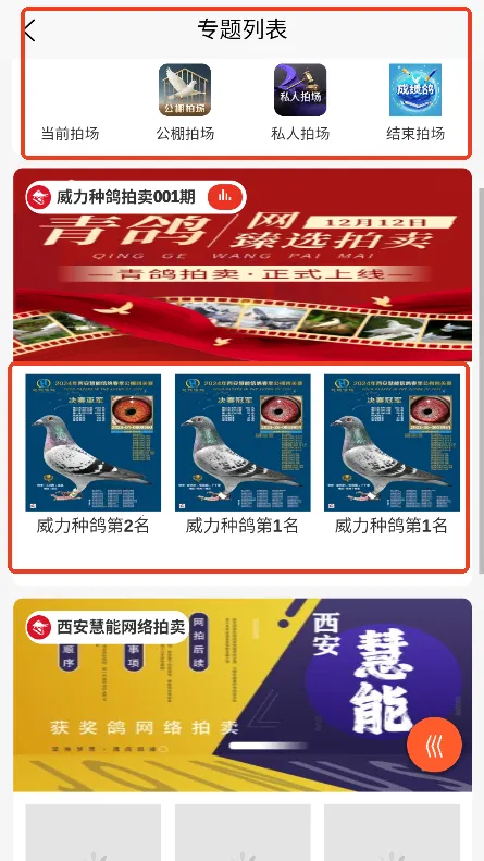 青鸽拍2025下载安装 青鸽拍2025下载安装