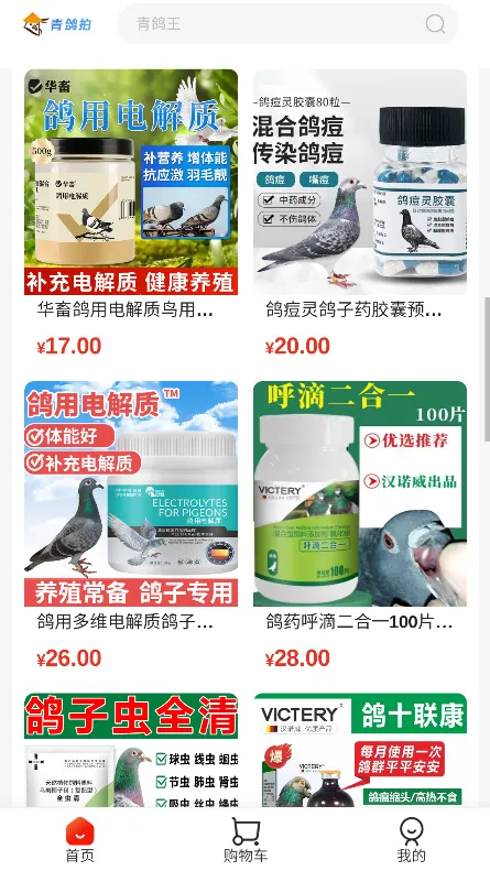 青鸽拍2025下载安装 青鸽拍2025下载安装