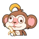 ��¶ݷ���2025����v0.5.0 �ֻ���