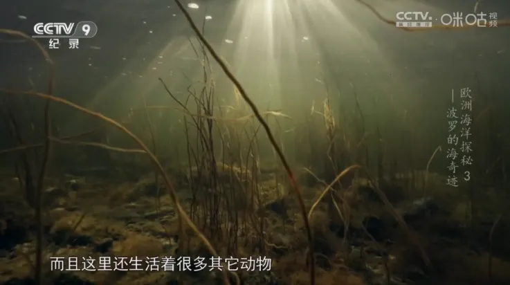 OKܿӰ��2025�ٷ�����v3.0.4 �ֻ���