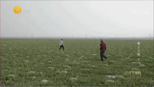 OKܿӰ��2025�ٷ�����v3.0.4 �ֻ���