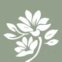 С�Ի���2025���°汾v1.2.38 �ֻ���