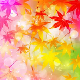 ��Ҷ��ֽ(�ֻ���ֽ����)v1.0.1 ��׿��