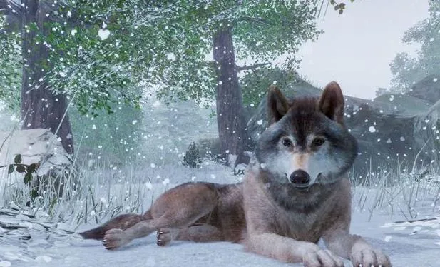 ����԰֮������ͬ2025�ٷ�����v0.10 ��׿��