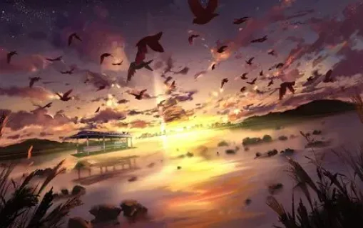 流星影视(影视播放平台) 流星影视(影视播放平台)