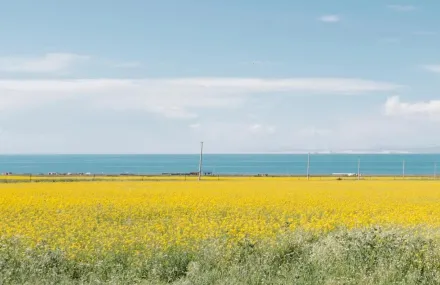 原原相机(相机拍照工具) 原原相机(相机拍照工具)