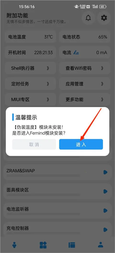 Femind2025���°汾