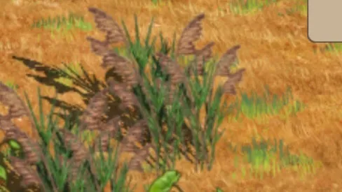 ϣ��֮��2����2025�ٷ����°汾