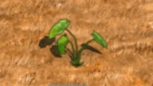 ϣ��֮��2����2025�ٷ����°汾