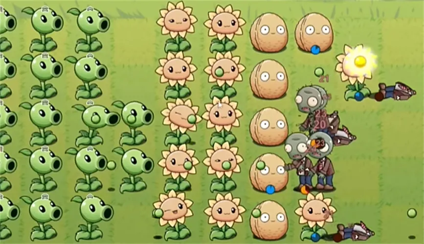 ֲ���ս��ʬlg��׿���ֻ���v1 ��׿��