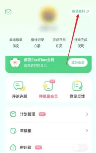 FeelFlow(������������)