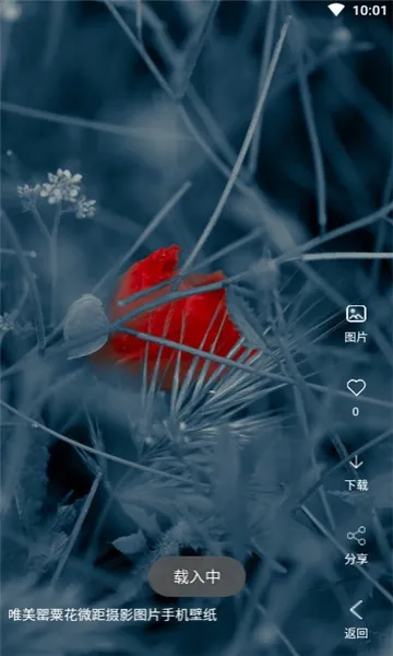 ������Ƶ��ֽ(��ֽ��Դƽ̨)