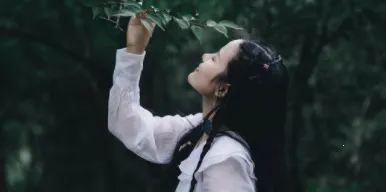 ������������(��������ƽ̨)