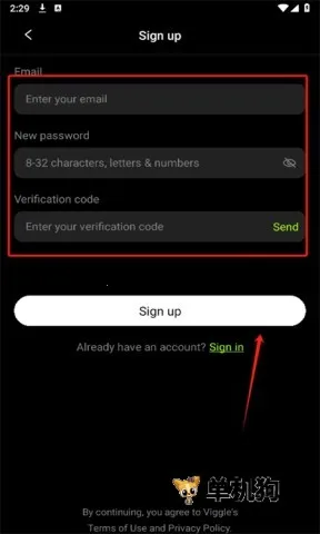 viggleai ��5��ͼ