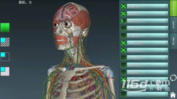 人体解剖学图集 v2025官方最新版本 人体解剖学图集 v2025官方最新版本