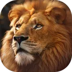 Ұ�����������簲׿���ֻ���v1.0.70 �ֻ���