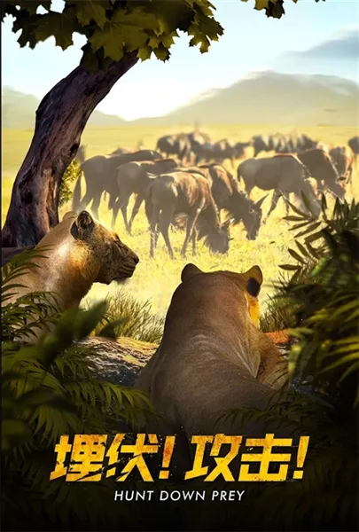 Ұ�����������簲׿���ֻ���