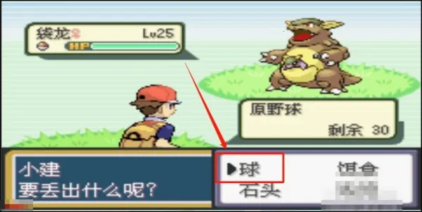 �ڴ�����ȥ��Ƥ����(������������Ϸ)