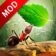 СС��Ⱥ��׿���ֻ���v3.2.5 �ֻ���