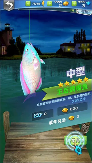 全民钓鱼2安卓版手机版 全民钓鱼2安卓版手机版