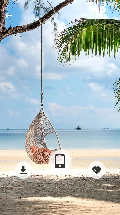 ��������(�ֻ���ֽ����)v1.0.1 ��׿��