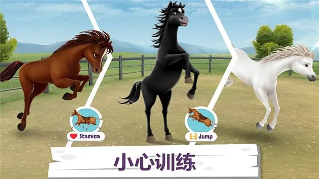 �ҵ��������������ֻ���v1.3.5 �ֻ���