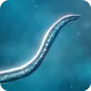 孢子模拟器安卓版手机版v55.67 手机版