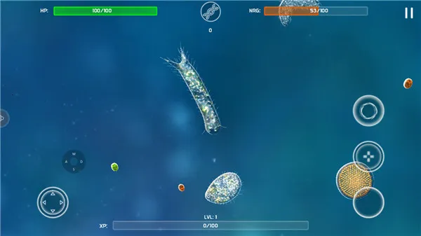 ����ģ������׿���ֻ���