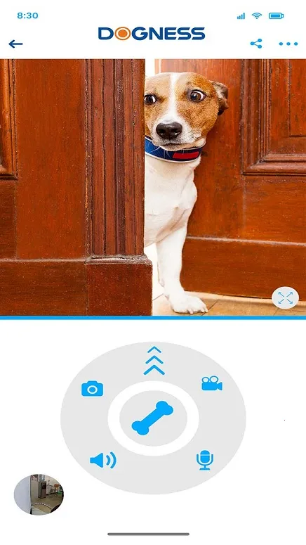 ����˹(�����������)v3.2.5 ��׿��