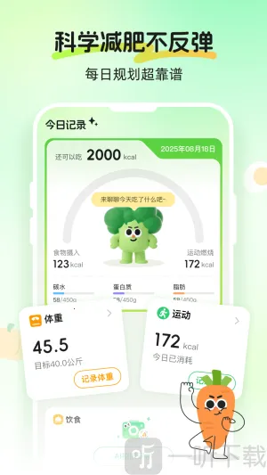 Calmomo�����ֻ���